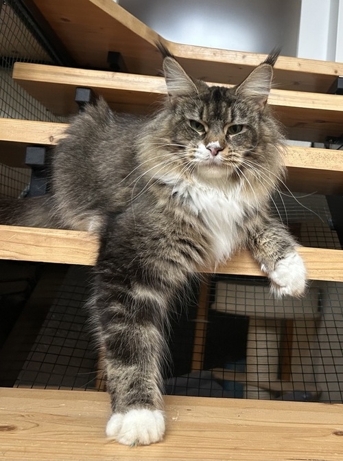 Grace Kelly of Pocono - Winerau