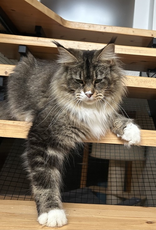 Grace Kelly of Pocono - Winerau