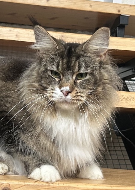 Grace Kelly of Pocono - Winerau