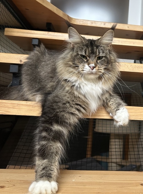 Grace Kelly of Pocono - Winerau