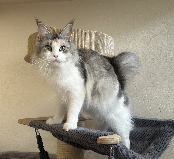 2 Jahre - 2 years Winerau Kacy