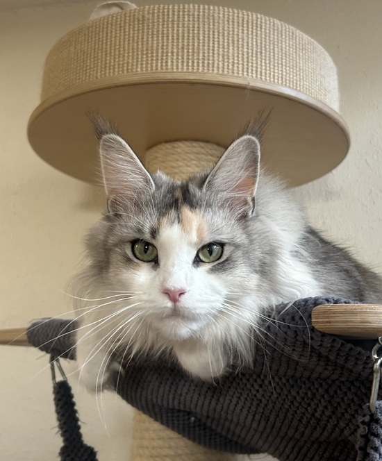 2 Jahre - 2 years Winerau Kacy