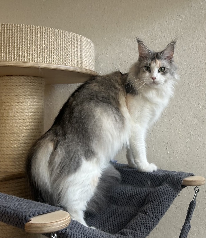 2 Jahre - 2 years Winerau Kacy